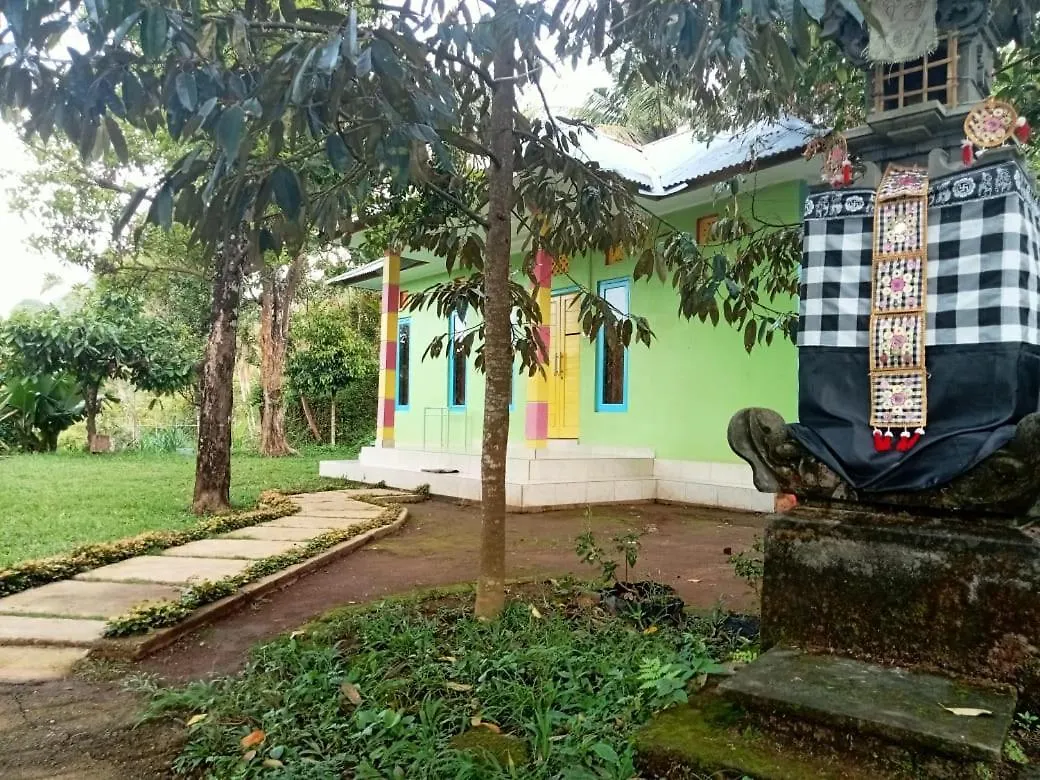 לינה וארוחת בוקר Singaraja Sekumpul Local House