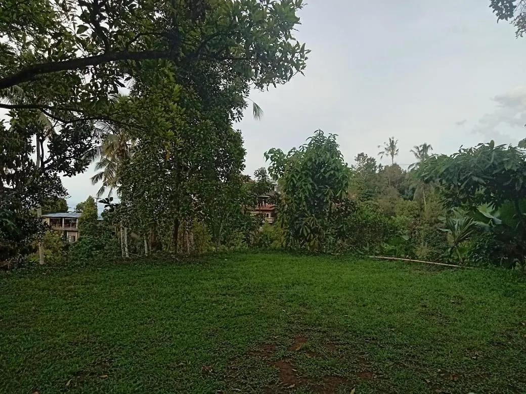 Sekumpul Local House Bed & Breakfast Singaraja  0*, Singaraja (Bali) Indonesia