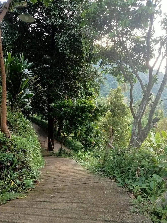 Sekumpul Local House Bed & Breakfast Singaraja  Indonesia