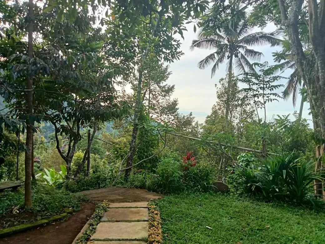 Sekumpul Local House Bed & Breakfast Singaraja